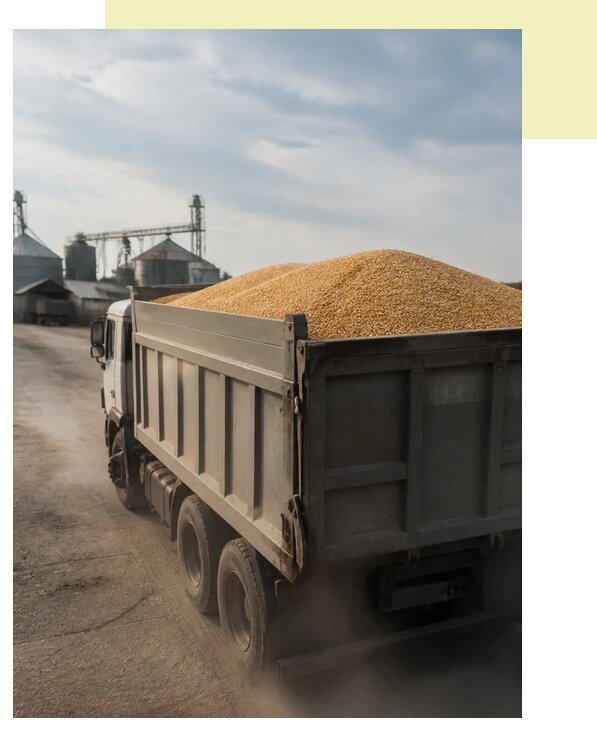 Перевозка сельхозпродукции навалом в Ставрополь по цене от 3115 р. | Агросервис-Ств